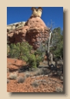 Canyons of the Ancients National Monument 5